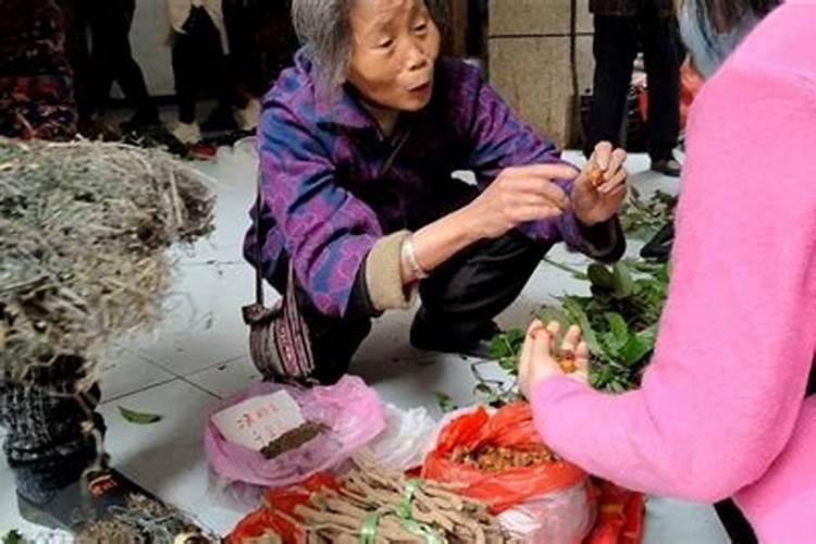 清明节的草药