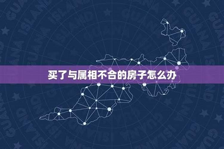 买了与属相不吉利楼层该如何化解