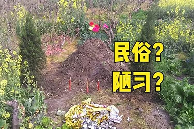 清明节哪种人