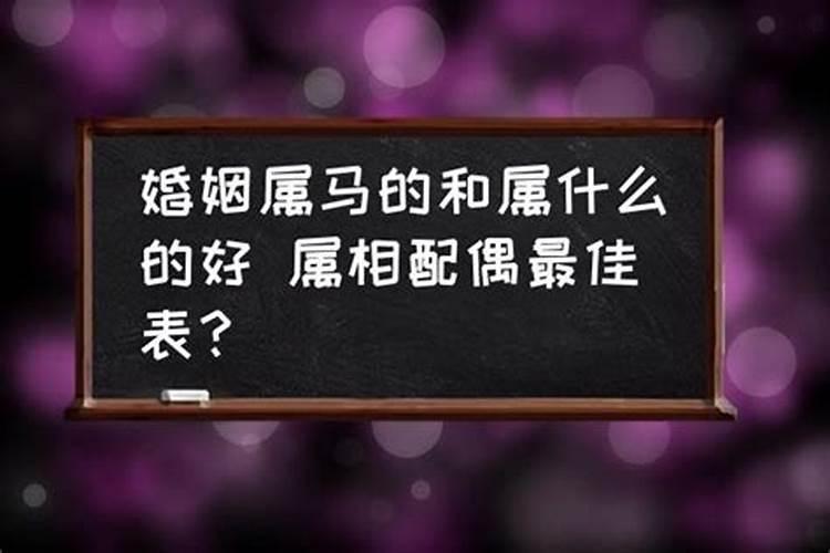 属马和属什么最佳配偶