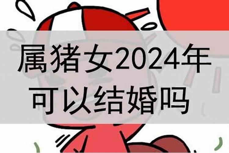 属猪的女生2024