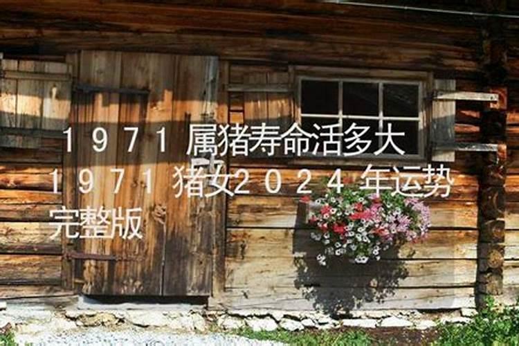 1971年猪女在2024年运势