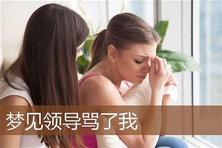 梦见我的女领导