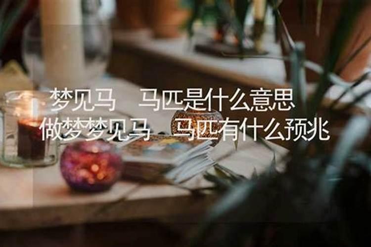 晚上做梦梦到马是什么意思