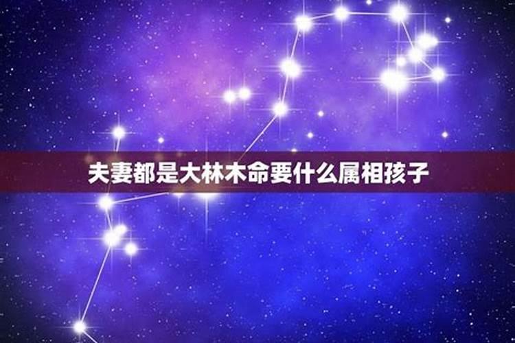 我属羊老公属龙生什么宝宝好