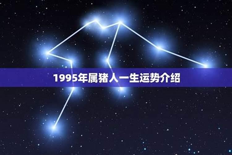 1995年的人一生运势如何