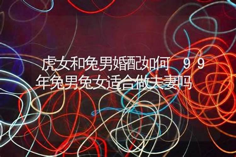 鼠龙的2024年运势