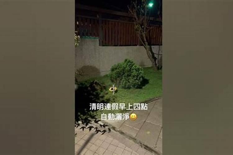 清明节的怪事