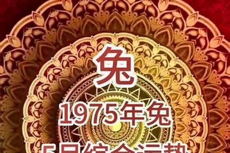 75年5月8号出生带什运势好