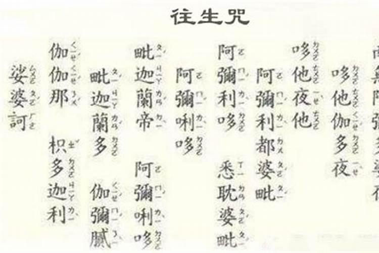 1976年属龙的今年的运势如何