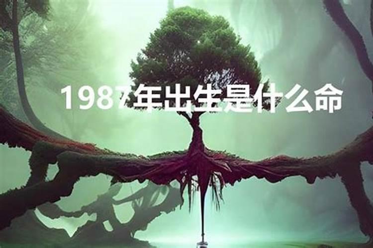 2023年龙抬头几点理发