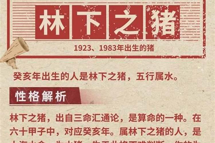 1983年属猪是什么命五行属什么