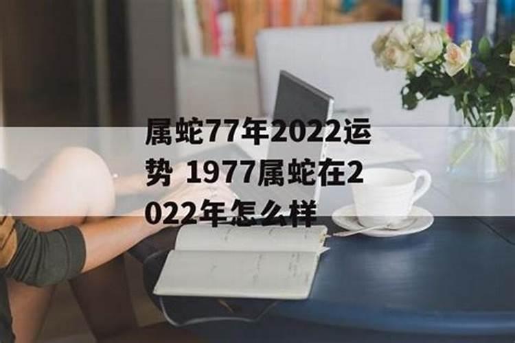 77车在2023年运势