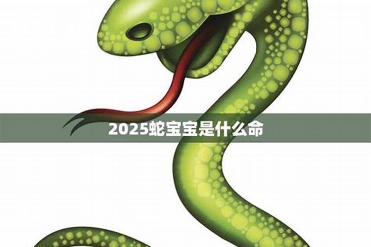 属蛇人在2025年运势怎样