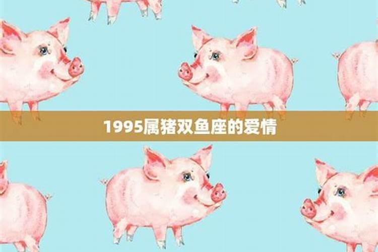 1995年生今年爱情运势