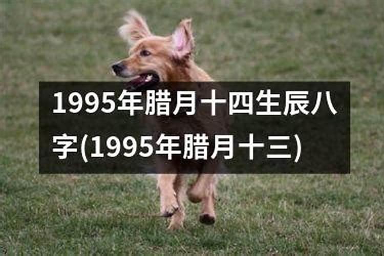 1995年腊月生人好不好