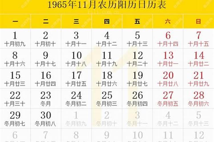 1965年农历11月出生运势