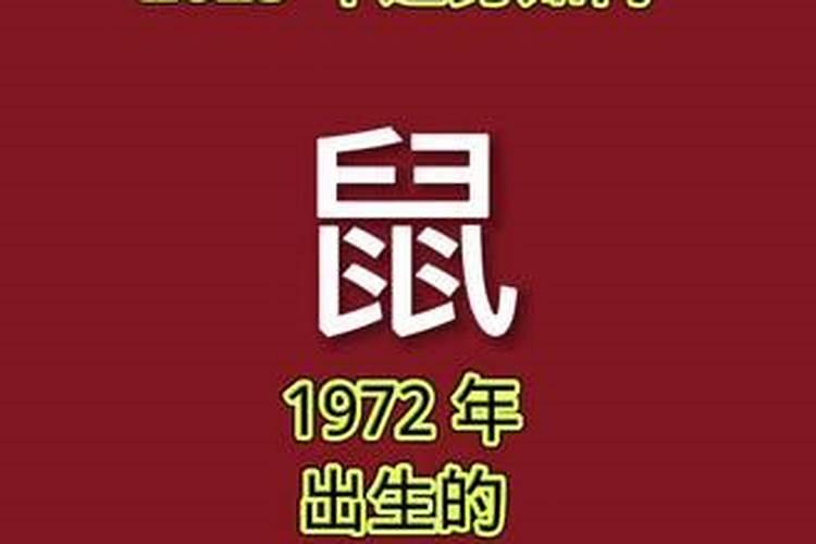 75年属什么运势如何