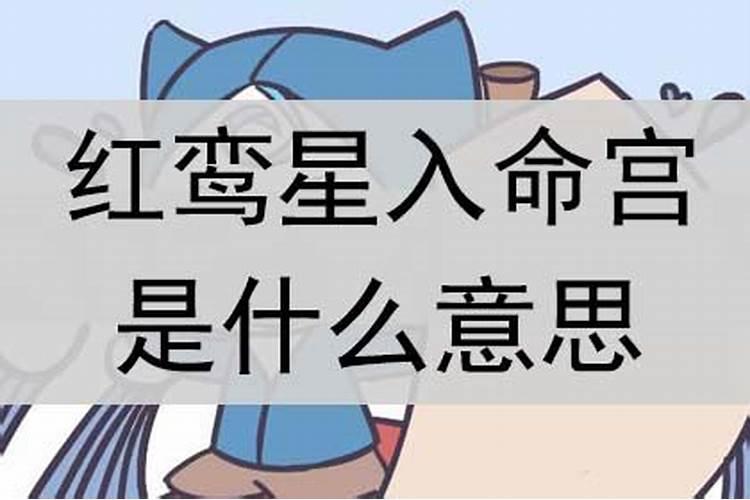 怎么学好八字算命