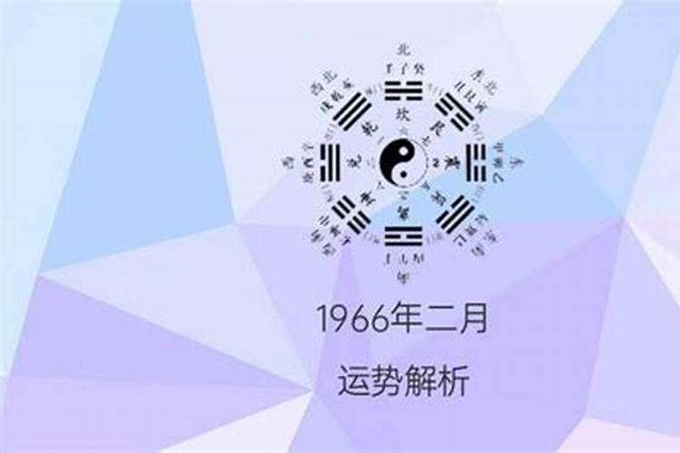 1955年二月二十八出生的运势