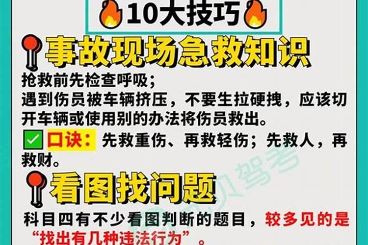 狗跟羊属相合不合