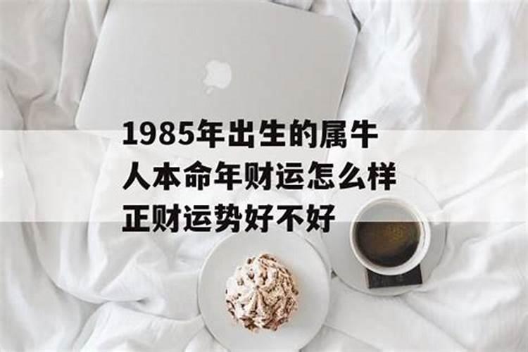 1985年三月初一牛人今年运势