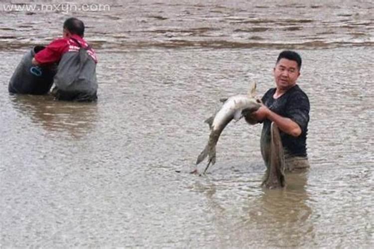 梦见河流干枯抓到了大鱼