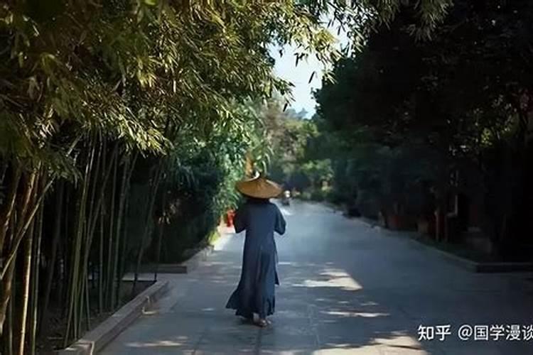 女人梦见偷鸭蛋什么意思