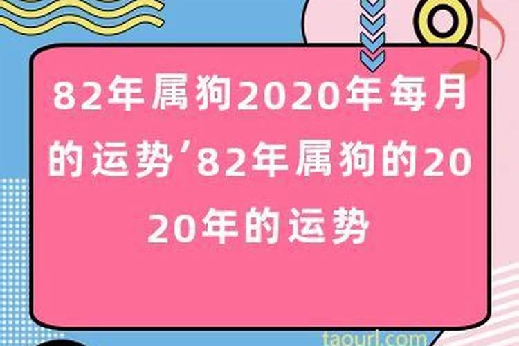 82年11月属狗2023年的运势