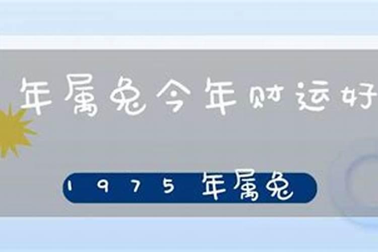 1975年属今年运势如何