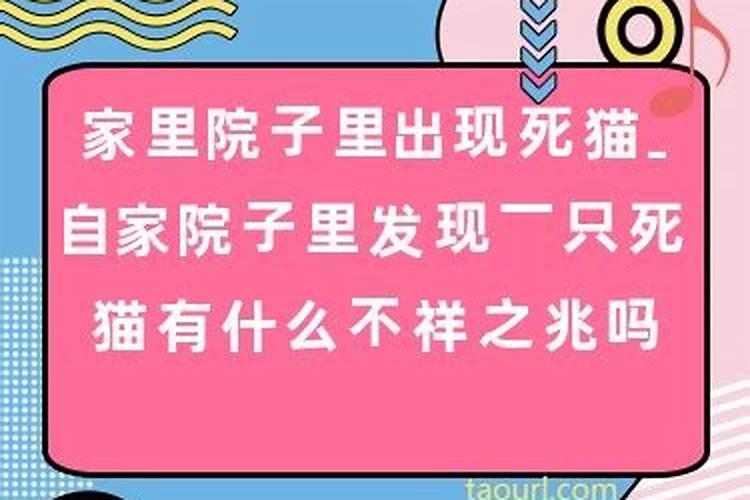 算卦能算出结婚了吗