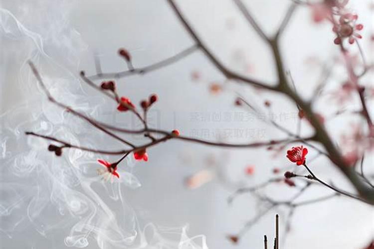 清明祭拜几点好