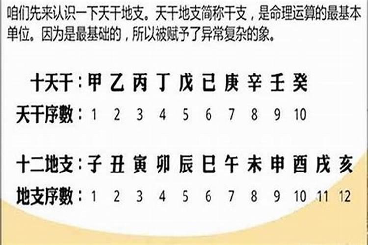 梦见死去的爸爸骑自行车下班回家