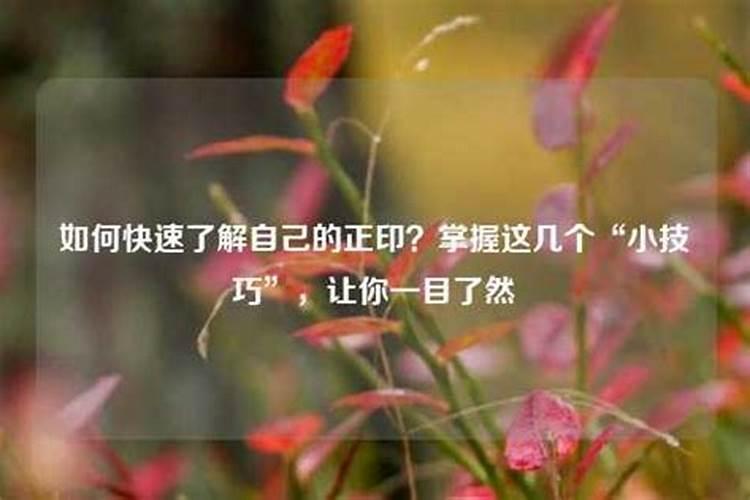 梦见妹妹来自己家玩什么意思