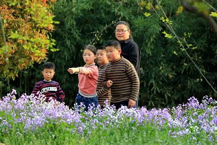 清明节人们到郊外去祭扫还有什么