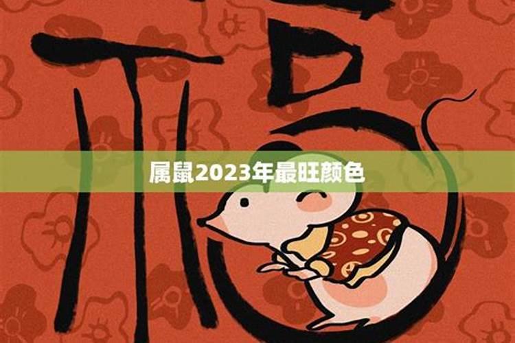 属鼠2023年运势颜色