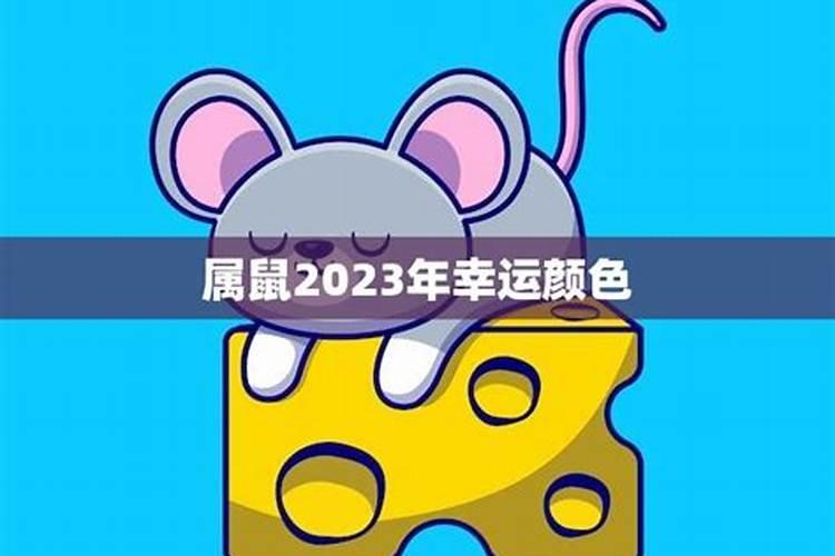 属鼠2023年运势颜色