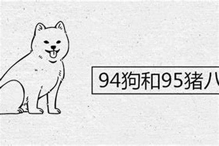 94年和95年合婚吗