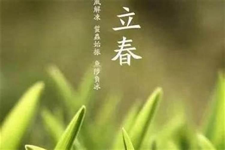 八字里面讲的桃花运是什么意思