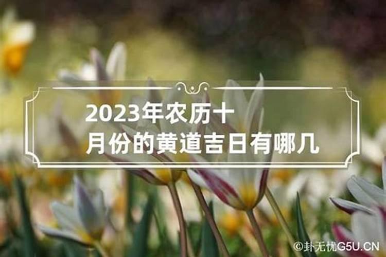 2023年农历有几天