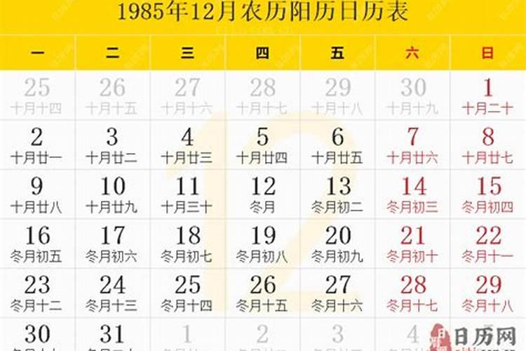 85年12月16属牛今年运势