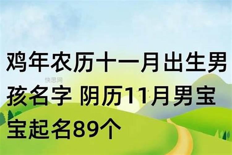 农历11月出生的鸡宝宝运势如何