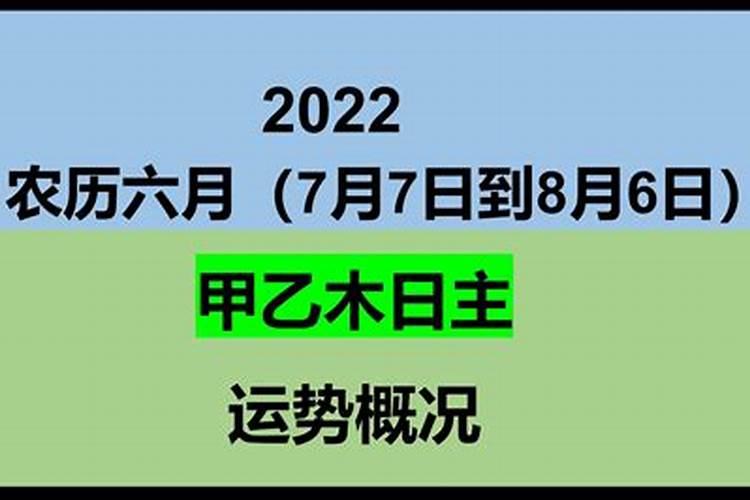 1985年的2024年运势