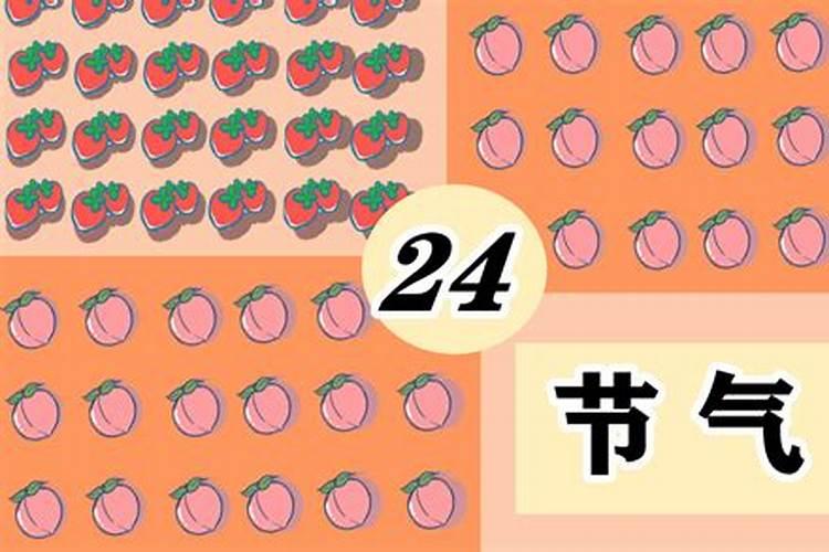 2024夏至在哪天