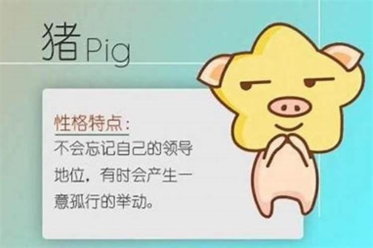 属猪的找什么对象合适