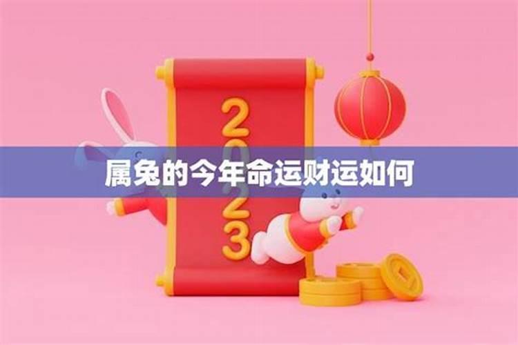 七五年的兔在今年的运势