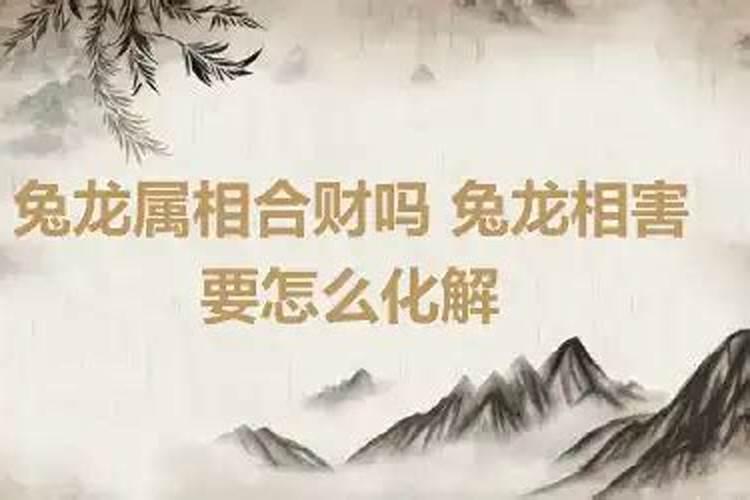 龙兔的属相合不合财