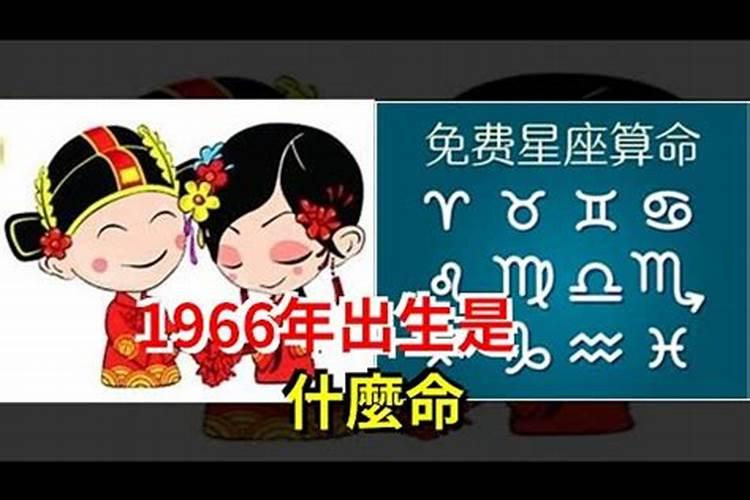 属狗的运势2021年运势