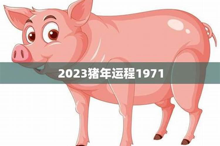 2023年猪运势