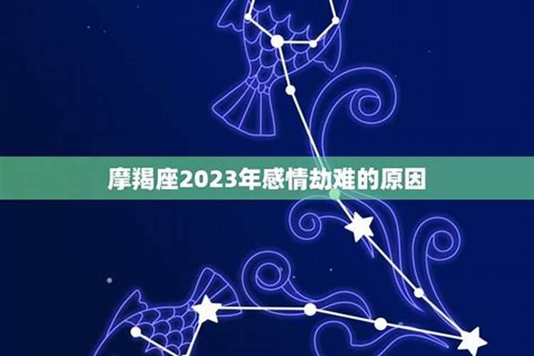 摩羯男2023年